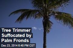 Tree Trimmer Suffocated by Palm Fronds
