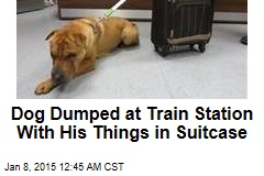 Dog Dumped at Train Station With Suitcase