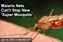 Malaria Nets Can&#39;t Stop New &#39;Super Mosquito&#39;
