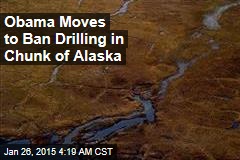 Obama Moves to Ban Drilling in Vast Arctic Habitat