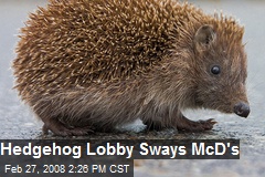 Hedgehog Lobby Sways McD's