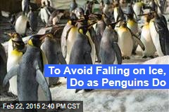To Avoid Falling on Ice, Do as Penguins Do