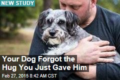 Your Dog Forgot the Hug You Just Gave Him