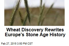 Wheat Discovery Rewrites Europe&#39;s Stone Age History