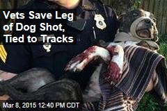 Vets Save Leg of Dog Shot, Tied to Tracks