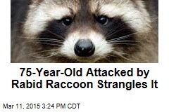 75-Year-Old Attacked by Rabid Raccoon Strangles It