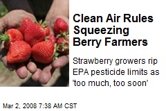 Clean Air Rules Squeezing Berry Farmers