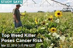 Popular Weed Killer Poses Cancer Risk