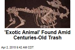&#39;Exotic Animal&#39; Found Amid Centuries-Old Trash