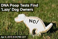 DNA Tests Link Dog Poop to &#39;Lazy&#39; Owners