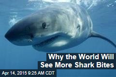 Why the World Will See More Shark Bites