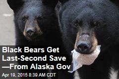 Black Bears Get Last-Second Save &mdash;From Alaska Gov