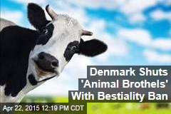 Denmark Shuts &#39;Animal Brothels&#39; With Bestiality Ban