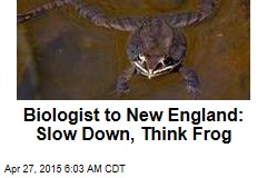 Biologist to New England: Slow Down, Think Frog