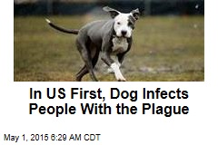In US First, Dog Infects People With the Plague