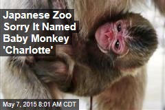 Japanese Zoo Sorry It Named Baby Monkey &#39;Charlotte&#39;