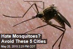 5 US Cities Most Plagued by Mosquitoes