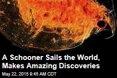 A Schooner Sails the World, Makes Amazing Discoveries
