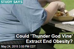 &#39;Thunder God Vine&#39; Could Stop Obesity