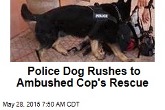 Police Dog Rushes to Ambushed Cop&#39;s Rescue