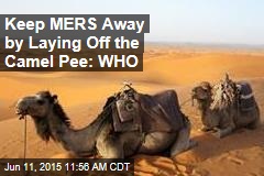 Keep MERS Away by Laying Off the Camel Pee: WHO