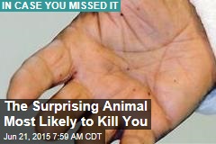 The Surprising Animal Most Likely to Kill You