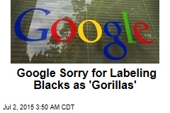 Google Sorry About Algorithm&#39;s Racist Error