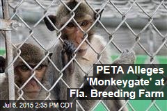 PETA Alleges &#39;Monkeygate&#39; at Fla. Breeding Farm