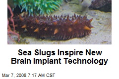 Sea Slugs Inspire New Brain Implant Technology