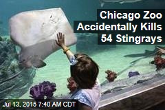 Chicago Zoo Accidentally Kills 54 Stingrays