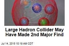 Large Hadron Collider May Have Made 2nd Major Find