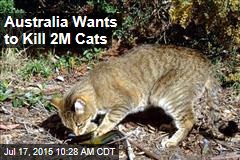 Australia Wants to Kill 2M Cats