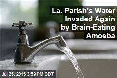 La. Parish&#39;s Water Invaded Again by Brain-Eating Amoeba