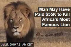Man May Have Paid $55K to Kill Africa&#39;s Most Famous Lion