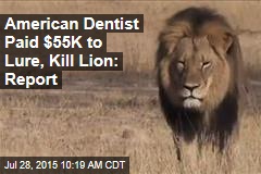American Dentist Paid $55K to Lure, Kill Lion: Report
