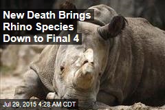 Rhino Species Down to Final 4
