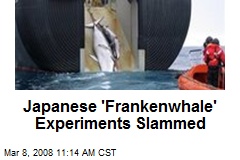 Japanese 'Frankenwhale' Experiments Slammed