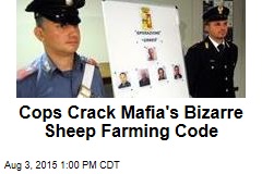 Cops Crack Mafia&#39;s Bizarre Sheep Farming Code