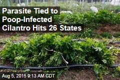 Parasite Tied to Poop-Infected Cilantro Hits 26 States