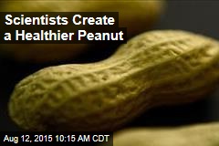 Scientists Create a Healthier Peanut