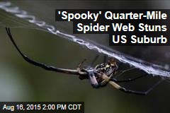 &#39;Spooky&#39; Quarter-Mile Spider Web Stuns Residents