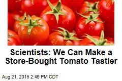 Scientists: We Can Make a Store-Bought Tomato Tastier
