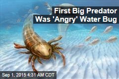 First Big Predator Was &#39;Angry&#39; Water Bug