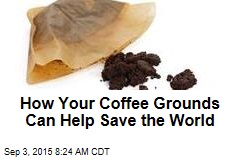How Your Coffee Grounds Can Help Save the World