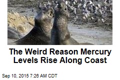The Weird Reason Mercury Levels Rise Along Coast