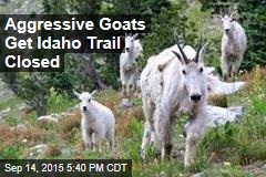 Aggressive Goats Get Idaho Trail Closed