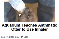Aquarium Teaches Asthmatic Otter to Use Inhaler