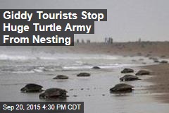 &#39;Eco-Tourist Mob&#39; Blocks Nesting Sea Turtles
