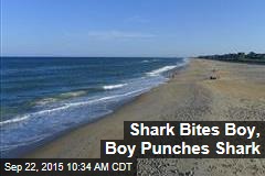 Shark Bites Boy, Boy Punches Shark