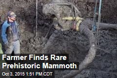 Farmer Finds Rare Prehistoric Mammoth